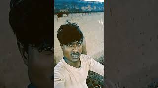 #maghi