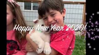 A special New Year Video celebrating 20 years of our Polarbear White German Shepherd Dogs!