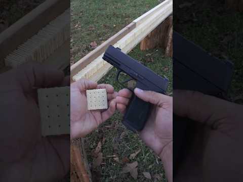 Bullet vs Crackers