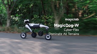 MagicLab unveils MagicDog-W, the wheeled quadruped robot.