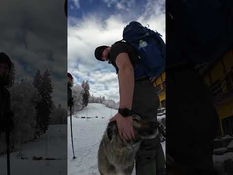 Winter tale hike in Romanian Mountains