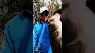 Okappari Bass Fishing 🇯🇵 #shorts #short #shortsvideo #shortvideo #shortsfeed #shortsviral #japan