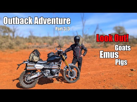 Solo Outback Motorcycle Camping Adventure P.3/3 | Watch For Wildlife | Triumph Scrambler 1200 XE