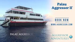 The Palau Aggressor II