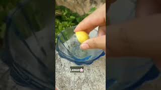 How to remove body tanning at home__ most effective sun tan removal remedy for hands nd body.. 🌸🌺