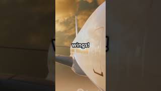 Tail Less Aircraft | #TailLessAircraft #AircraftDesign #AerospaceEngineering #FutureOfFlight