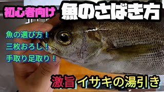【魚】G2夫婦共通の趣味！魚捌き！初心者向けに解説しながらやってみました。イサキの湯引き編