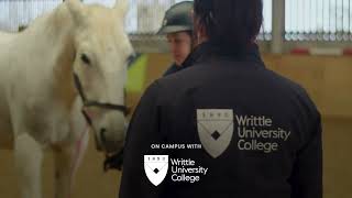 Your guide to veterinary physiotherapy