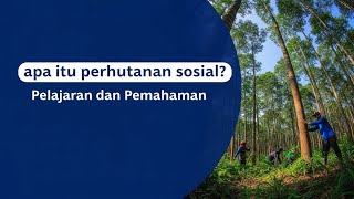 Apa Itu Perhutanan Sosial? – Jalan Tengah antara Hutan dan Manusia #perhutanansosila