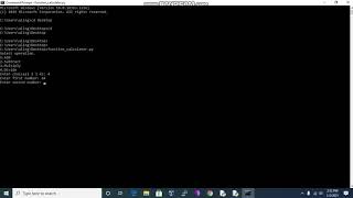 Python 3 | interactive calculator using functions