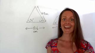 The Maths Prof: Similarity part 1 (Sides of Similar Shapes)