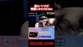 これは実力の差が出てるなー