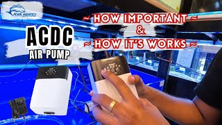 Exploring 5 Types of Aquarium Air Pumps and How AC/DC Pump Works
