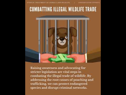 A Tribute to Our Animal Kingdom