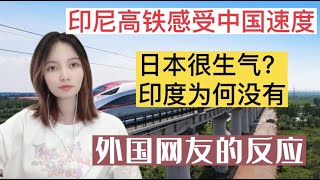日本很生气！中国印尼高铁即将建成，印度为何没有？网友直接喷饭