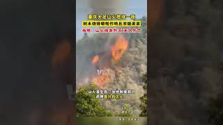 重庆大足区万古镇突发山火。大火持续燃烧一夜丨热搜研究员