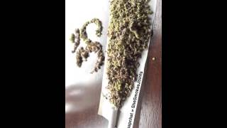 WeedHumor SnapChat takeover by SheSmokesJoints 3/16