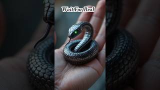 Robo Snake Attack – From Toy to Real Beast! 😱🧠 #Toy2Real #shorts