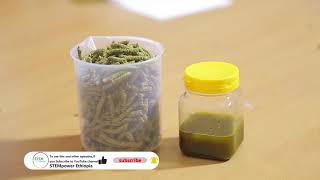 STEMpower Ethiopia, Episode 89 Edible Oil Extraction Process at Micro Factory.