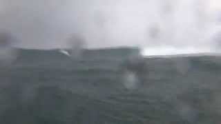 Palikir Pass Surf