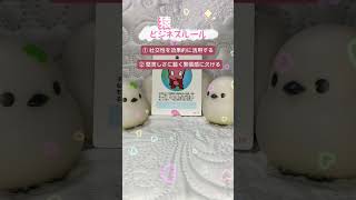 個性心理学（動物占い）猿のビジネスルールを解説 ♯個性心理学 ♯動物占い ♯猿 ♯ビジネスルール ♯shorts