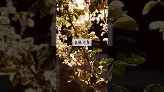 金錢肯定句 金錢財富肯定句 | 百萬千萬財富思維 | 塑造金錢潛意識  #吸引力法则