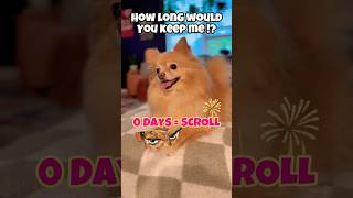 How Long Would You Keep Me? #PetLove #petrescue #FurEver #PetLife #dogs #puppy #shorts