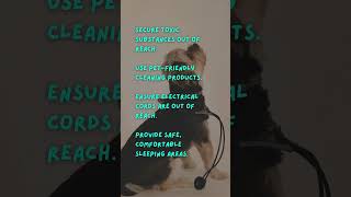 Pet Care - Safe Home Environment