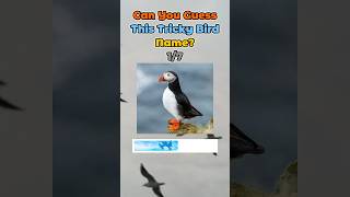 FunQuiz #bird #funquiz