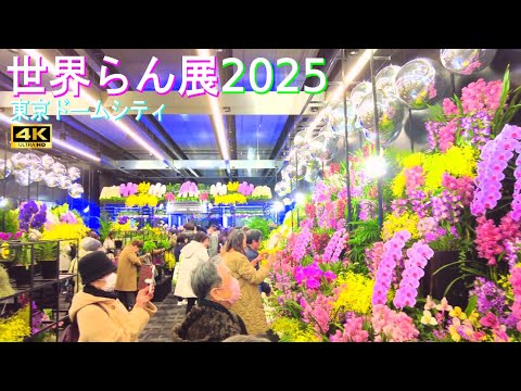 4K60【世界らん展2025】Orchid and Flower Show 2025 花と緑の祭典 東京ドームシティ