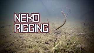 Neko Rigging – Beyond the Basics
