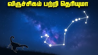 விருச்சிகம் ராசி பற்றி தெரியாத ரகசியங்கள் - Scorpius Constellation