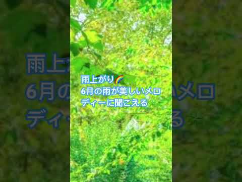 新曲、雨上がり🌈近日公開💫6月の日曜…恋人と過ごすひと時を爽やかにする彼女からの気持ちを込めて…チャンネル登録して待っててね🌻