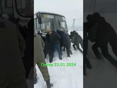 Санкт Петербург накрыла мощная метель #метель #буря #зима #холод #питер