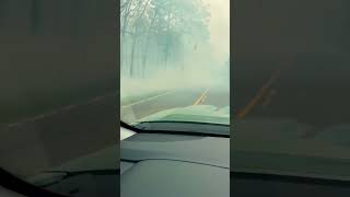 Controlled burn, Uwharrie National Forest. #forestfire #forestfires #savetheplanet #rebuildtheworld