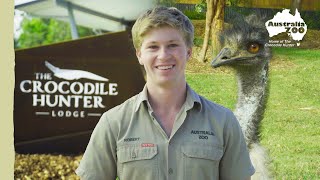 Crocodile Hunter Lodge animal moves | Australia Zoo Life