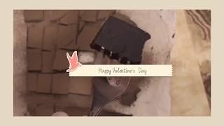 Daisy cooking👩🏻‍🍳|白色情人節限定