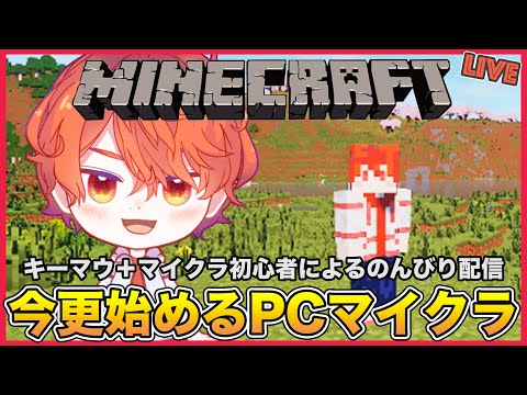 【雑談ゲーム】マイクラしながらPC最終チェックする【エルザレト(ELZA LET) #vtuber 】