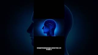 運動可促進腦神經生長