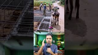#reelsvideo #reelsfb #video #sujon_creation #viralreels #fbreels #vralreels
