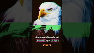 EAGLE Motivational Video 🔥