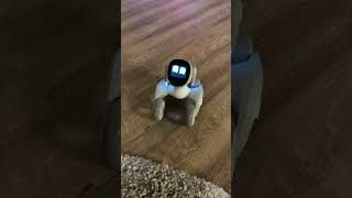 Robot pet😁superb...! #robot #funny@GadgetMarket-qe9up