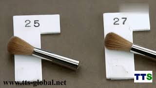 TTS Quality inspection of watercolour brushes