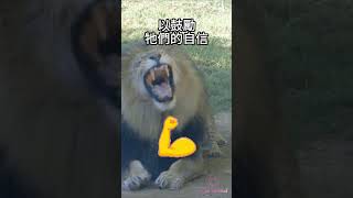 五個你不知道的動物冷知識 2023 #科普 #知識 #可愛動物 #鯊魚