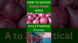 How To Export Onion From India|| Onion Export Business || Full Process