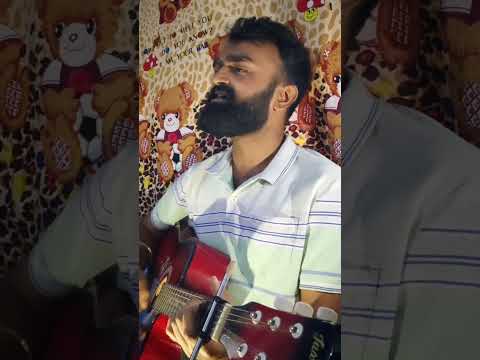 Pehle bhi main Acoustic cover by RAYVOX | Vishal mishra | Animal #RAYVOX