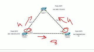 Spanning Tree Protocol (STP)