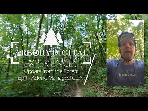 Adobe Managed CDN & Experimental Redirects for AEM | Arbory Digital Update from the Forest