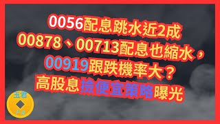 [上班族投資理財EP15]0056配息跳水近2成，00878、00713配息也縮水，00919跟跌機率大？上班族把危機變買點，高股息撿便宜策略曝光#0056配息#00878縮水#長榮海運|玉君財商FQ