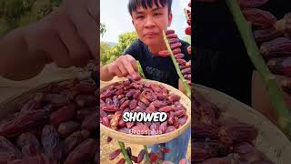 Date farming #shorts #science